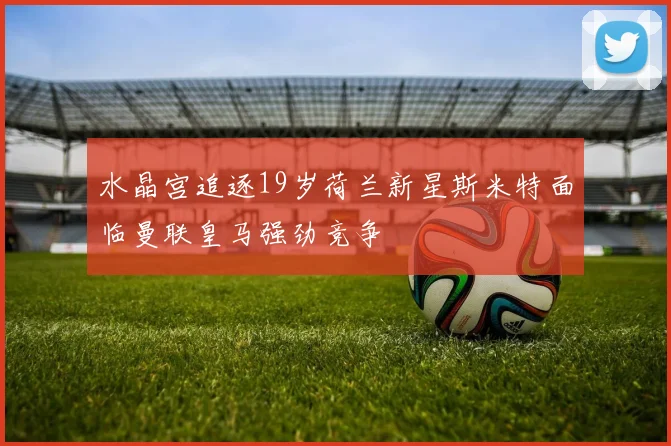水晶宫追逐19岁荷兰新星斯米特面临曼联皇马强劲竞争