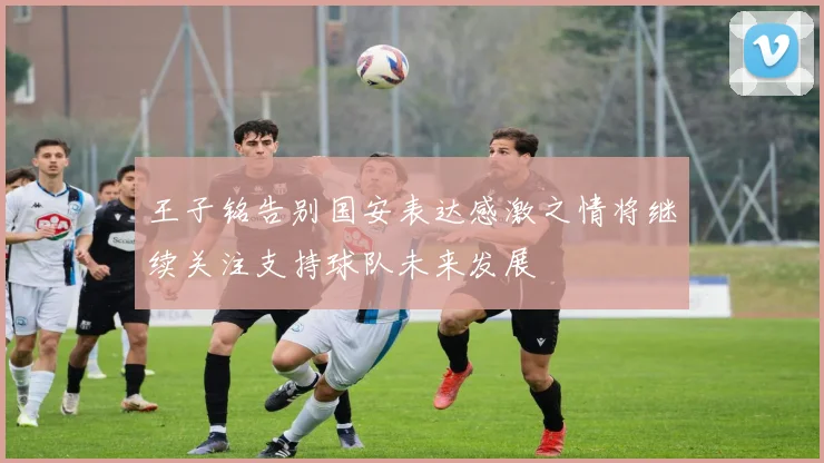 王子铭告别国安表达感激之情将继续关注支持球队未来发展